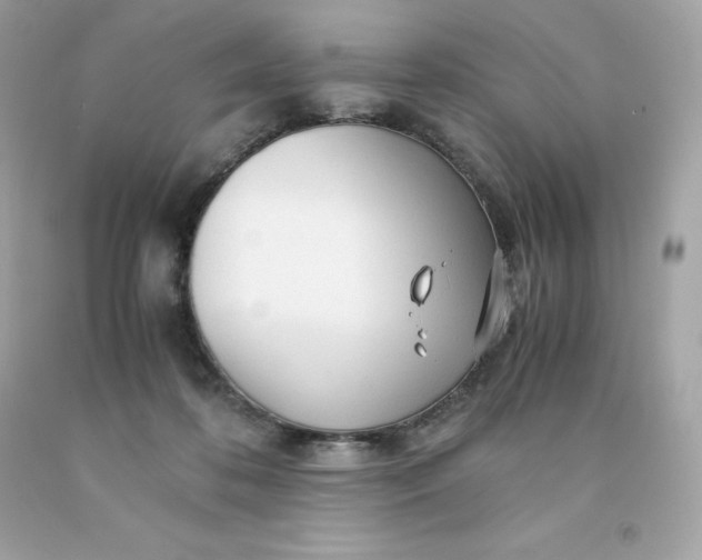 X0000091490316200709061906