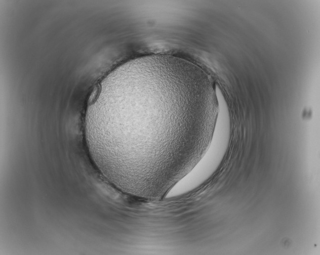 X0000091490317200709061906