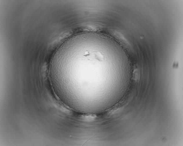 X0000091490318200709061906