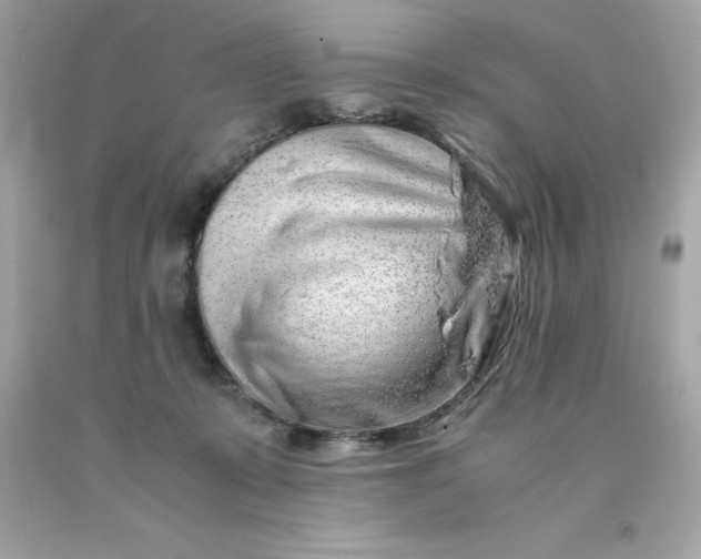 X0000091490319200709061906