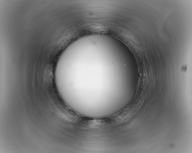 X0000091490320200709061906