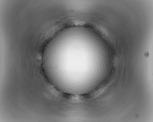 X0000091490321200709061906