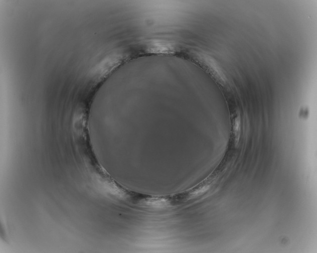 X0000091490322200709061906