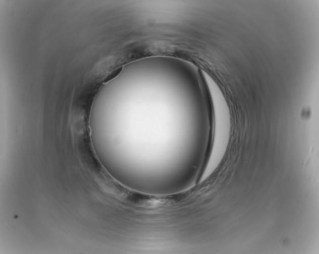 X0000091490323200709061906