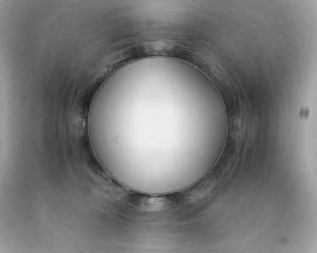 X0000091490324200709061906