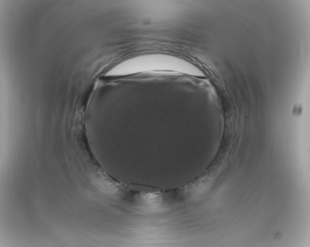 X0000091490325200709061906