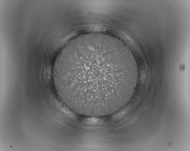 X0000091490326200709061906