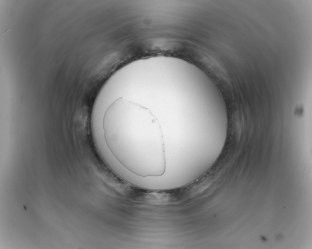 X0000091490328200709061906