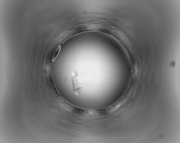 X0000091490329200709061906