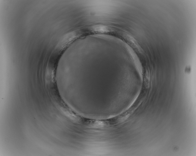 X0000091490330200709061906