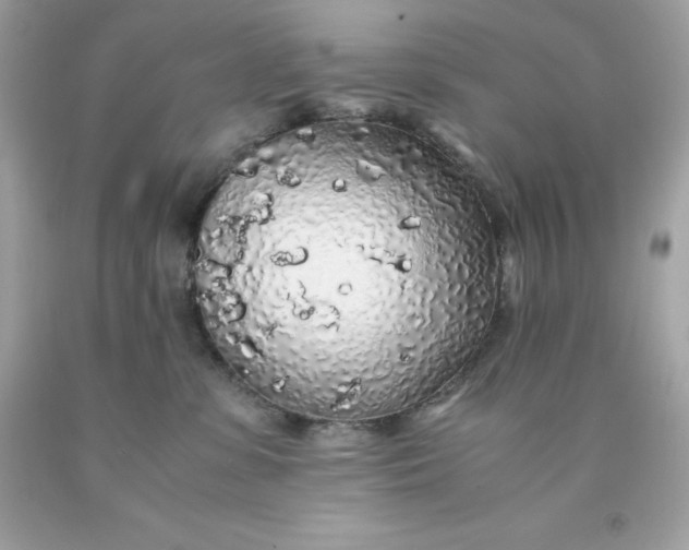 X0000091490331200709061906