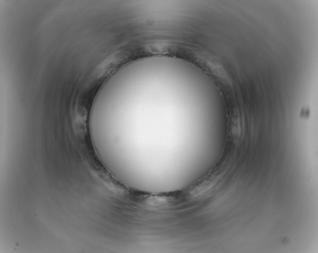 X0000091490332200709061906