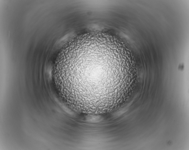 X0000091490334200709061906