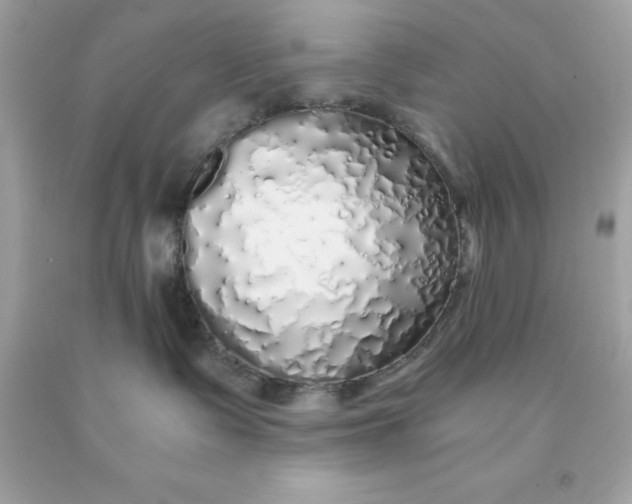 X0000091490335200709061906