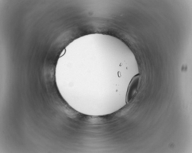 X0000091490336200709061906