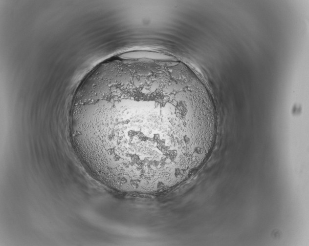 X0000091490337200709061905