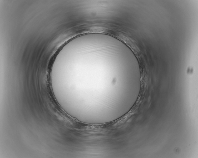 X0000091490338200709061905