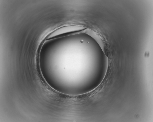 X0000091490340200709061905