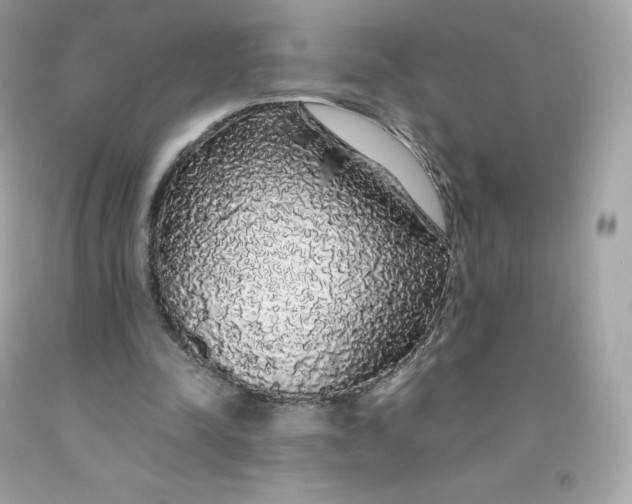 X0000091490342200709061905