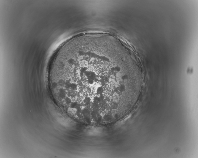 X0000091490343200709061905