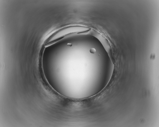 X0000091490344200709061905