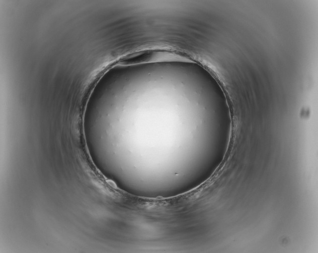 X0000091490345200709061905