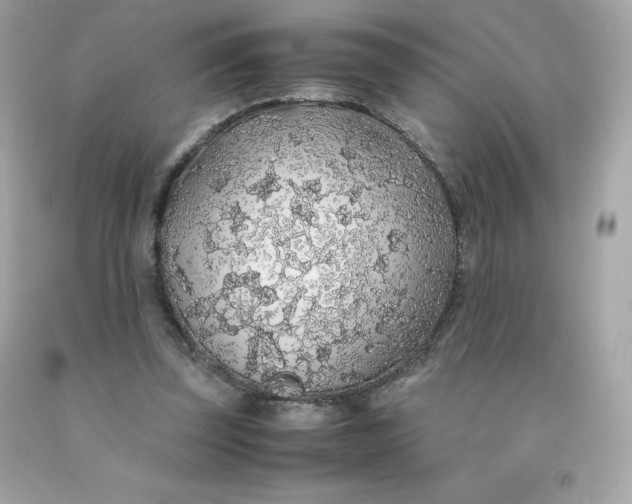 X0000091490347200709061906