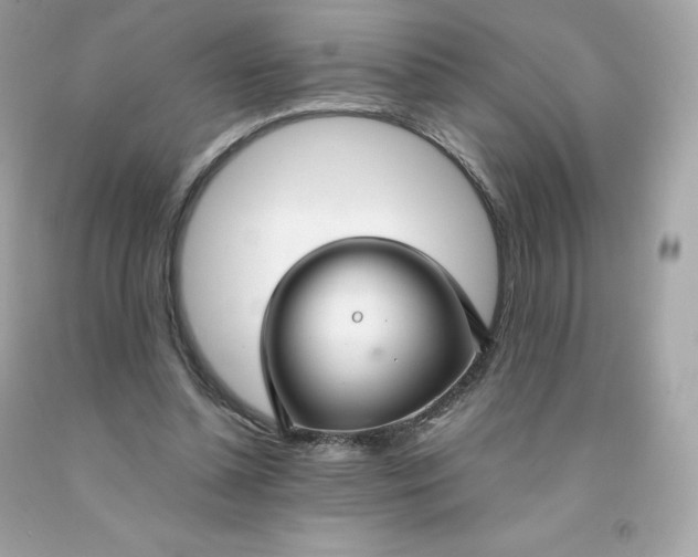 X0000091490348200709061906