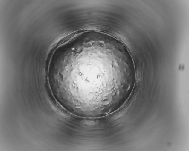 X0000091490349200709061906