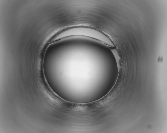 X0000091490350200709061906