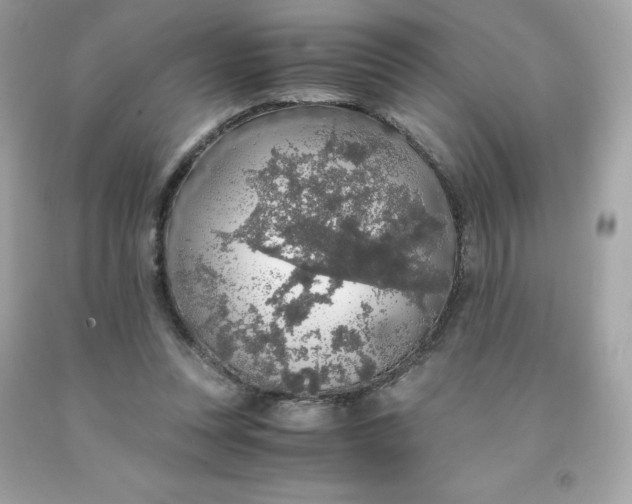 X0000091490351200709061906