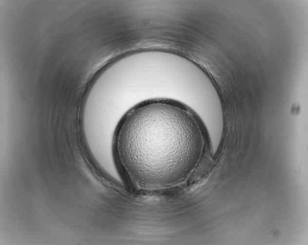 X0000091490352200709061906