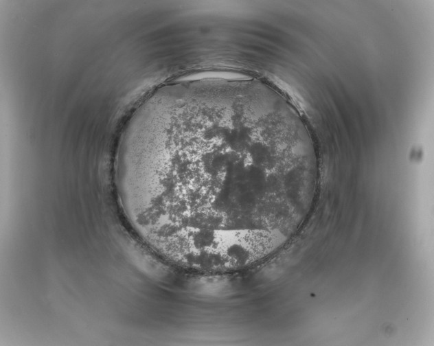 X0000091490353200709061906