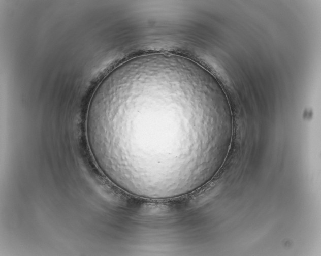 X0000091490354200709061906