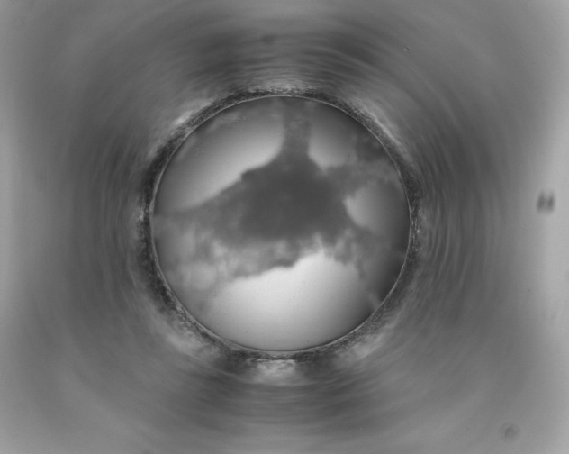 X0000091490355200709061906