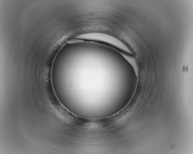 X0000091490356200709061906