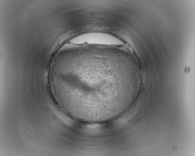 X0000091490357200709061906