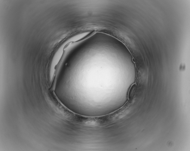 X0000091490358200709061906