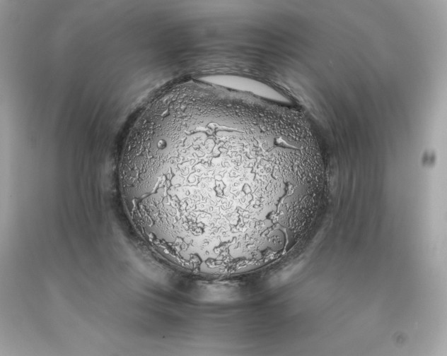 X0000091490359200709061906