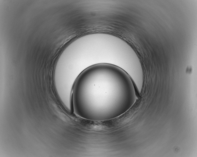 X0000091490360200709061906