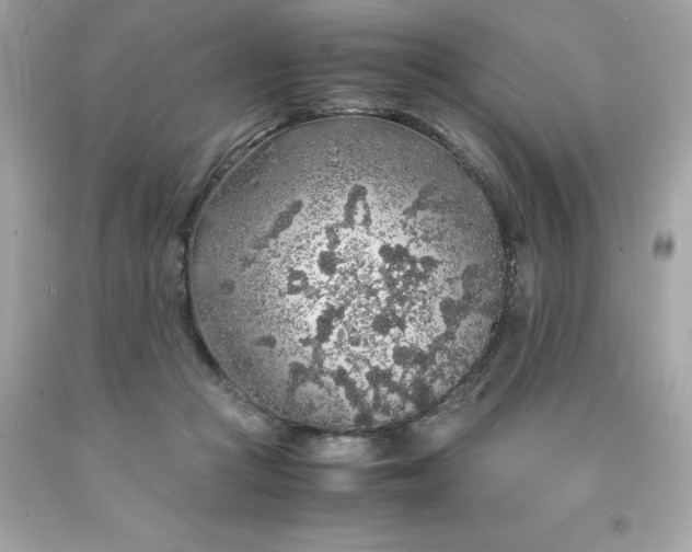 X0000091490361200709061906