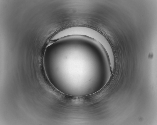 X0000091490362200709061906