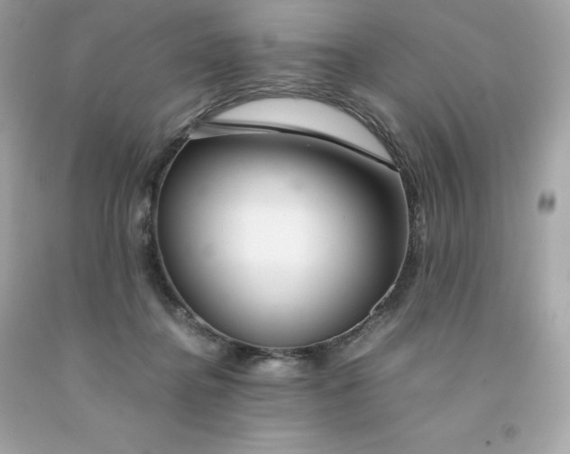 X0000091490364200709061906