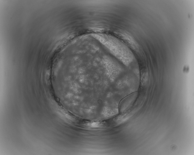 X0000091490365200709061906