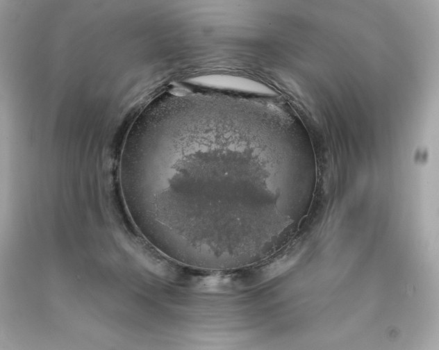 X0000091490366200709061906