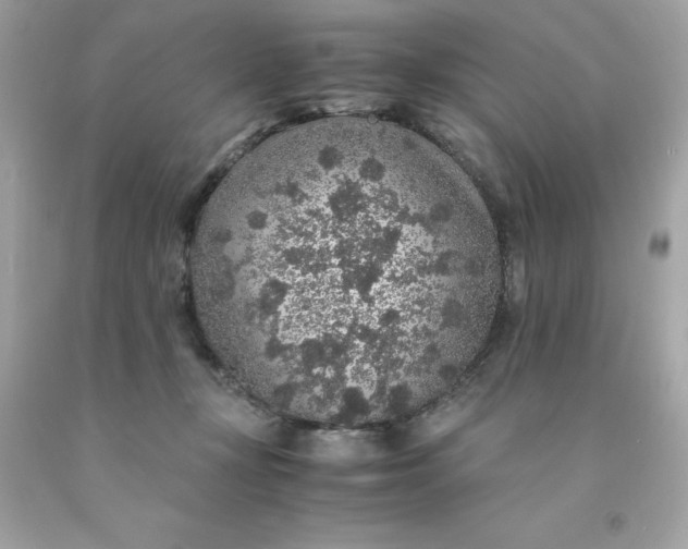 X0000091490367200709061906