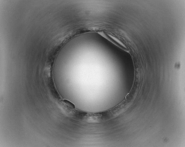 X0000091490368200709061906