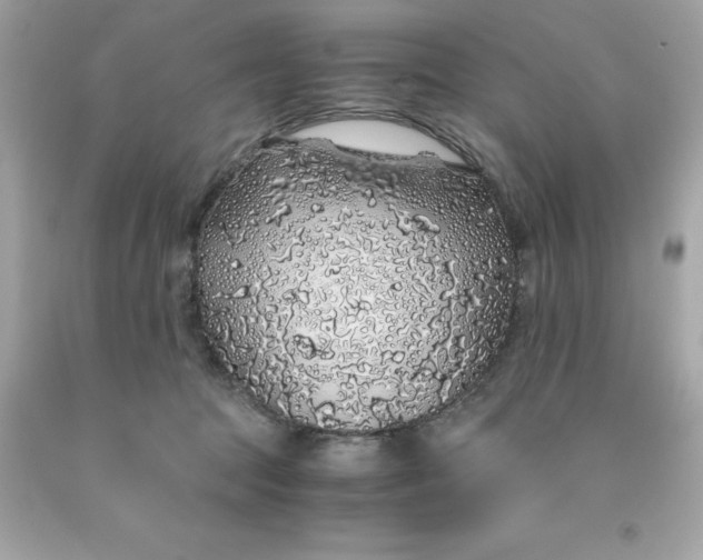 X0000091490369200709061906