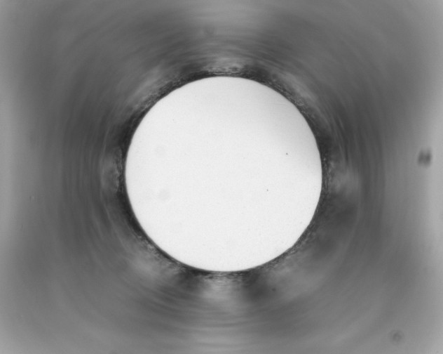 X0000091490370200709061906