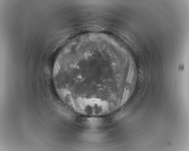 X0000091490371200709061906